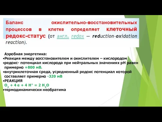 Аэробная энергетика: Реакция между восстановителем и окислителем – кислородом редокс- потенциал