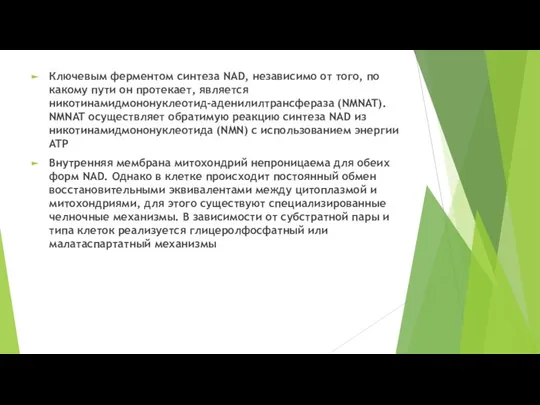 Ключевым ферментом синтеза NAD, независимо от того, по какому пути он