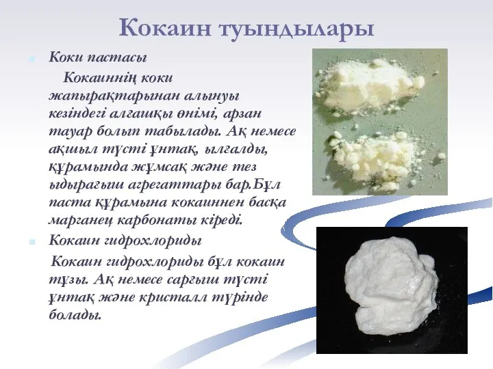 Кокаин туындылары Коки пастасы Кокаиннің коки жапырақтарынан алынуы кезіндегі алғашқы өнімі,