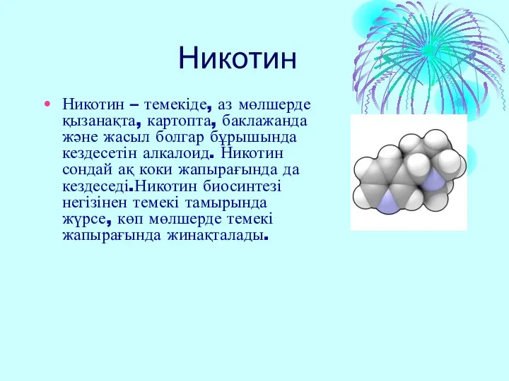 Никотин Никотин – темекіде, аз мөлшерде қызанақта, картопта, баклажанда және жасыл