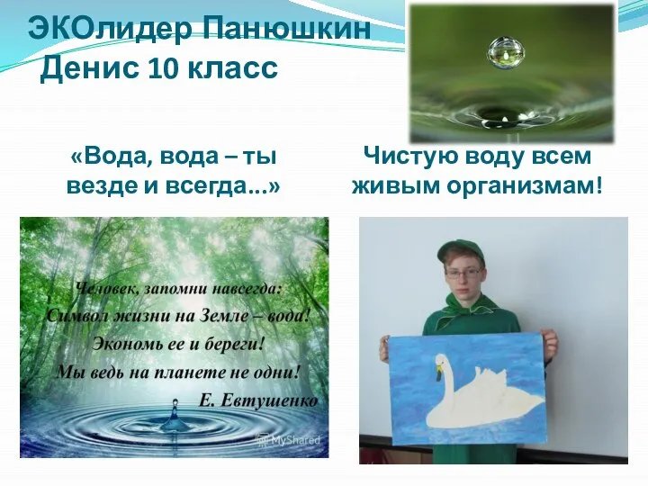 ЭКОлидер Панюшкин Денис 10 класс / «Вода, вода – ты везде