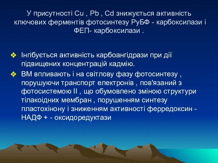 У присутності Сu , Pb , Cd знижується активність ключових ферментів