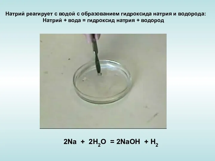 2Na + 2H2O = 2NaOH + H2 Натрий реагирует с водой