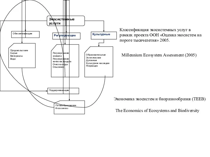 Классификация экосистемных услуг в рамках проекта ООН «Оценка экосистем на пороге