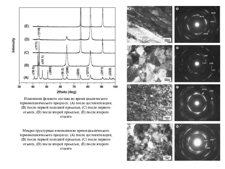 Микроструктурные изменения во время циклического термомеханического процесса: (А) после аустенитизации; (B)