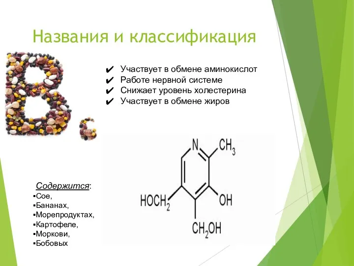 Названия и классификация Участвует в обмене аминокислот Работе нервной системе Снижает