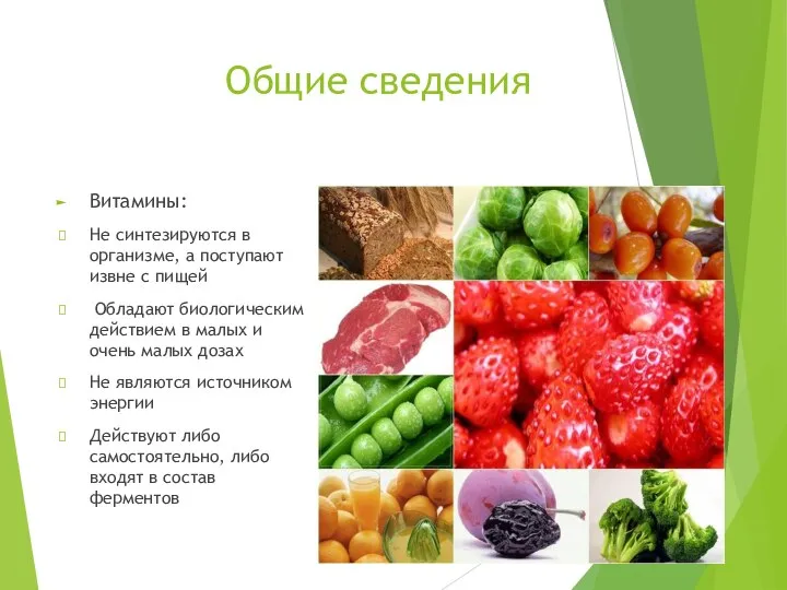 Общие сведения Витамины: Не синтезируются в организме, а поступают извне с