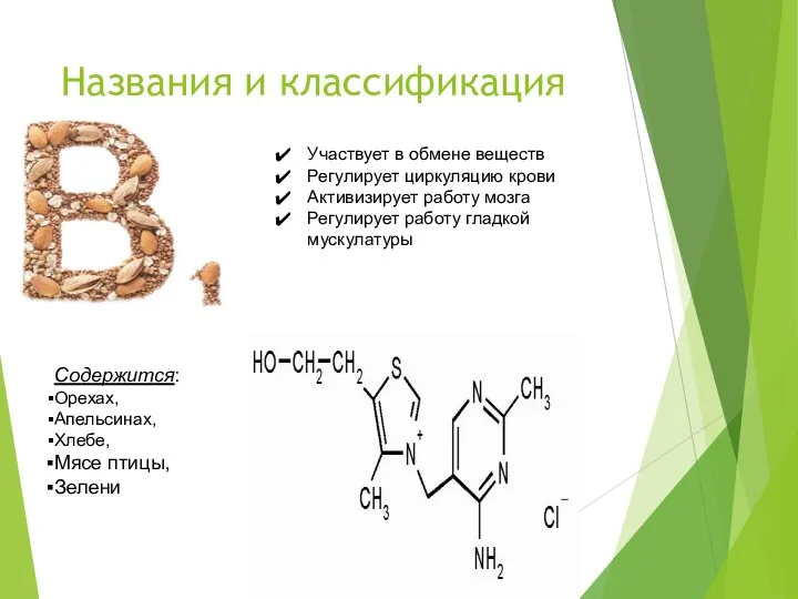 Названия и классификация Участвует в обмене веществ Регулирует циркуляцию крови Активизирует