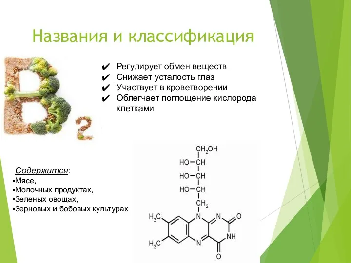 Названия и классификация Регулирует обмен веществ Снижает усталость глаз Участвует в