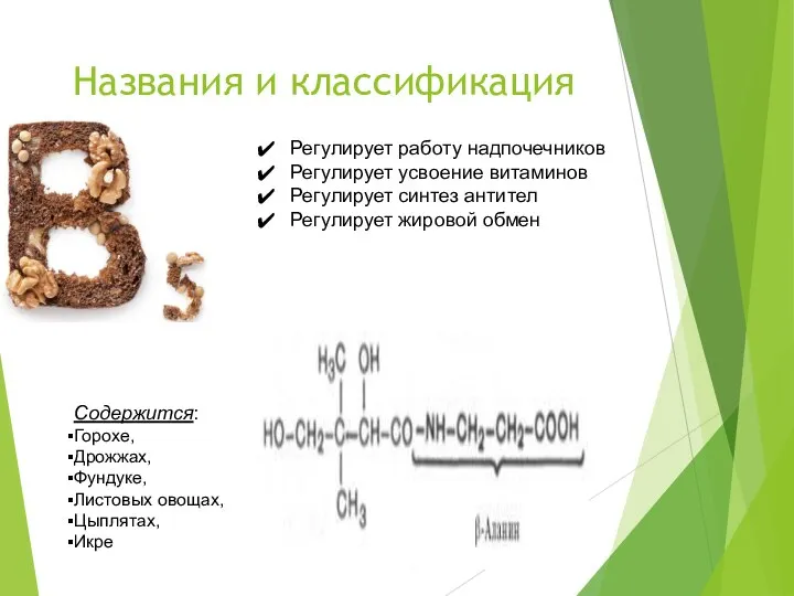 Названия и классификация Регулирует работу надпочечников Регулирует усвоение витаминов Регулирует синтез