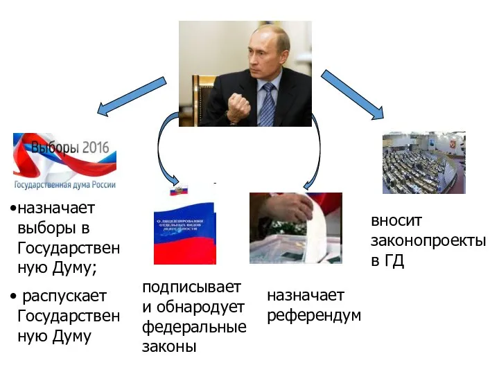 назначает выборы в Государственную Думу; распускает Государственную Думу назначает референдум вносит