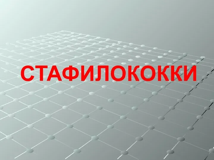 СТАФИЛОКОККИ