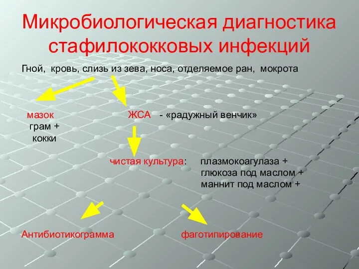 Микробиологическая диагностика стафилококковых инфекций Гной, кровь, слизь из зева, носа, отделяемое