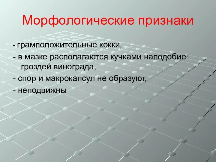 Морфологические признаки - грамположительные кокки, - в мазке располагаются кучками наподобие