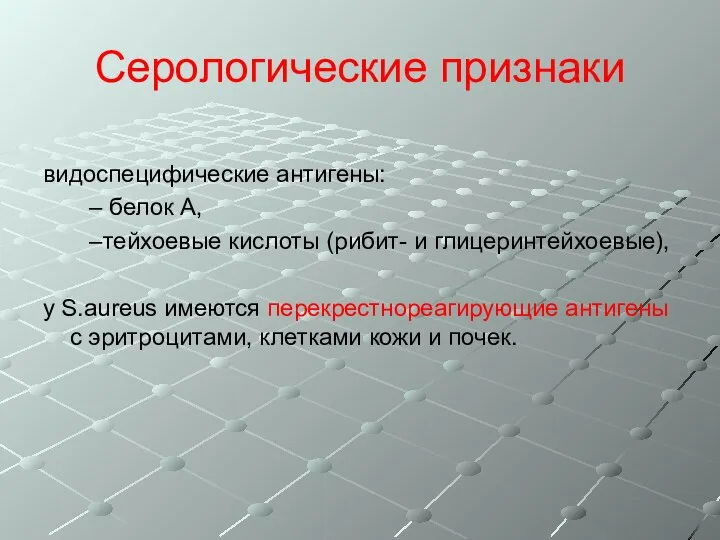 Серологические признаки видоспецифические антигены: – белок А, –тейхоевые кислоты (рибит- и