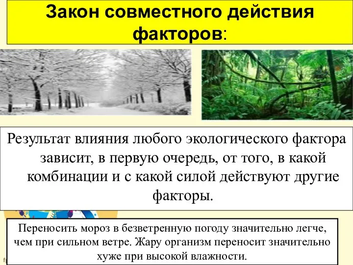 Закон совместного действия факторов: Результат влияния любого экологического фактора зависит, в