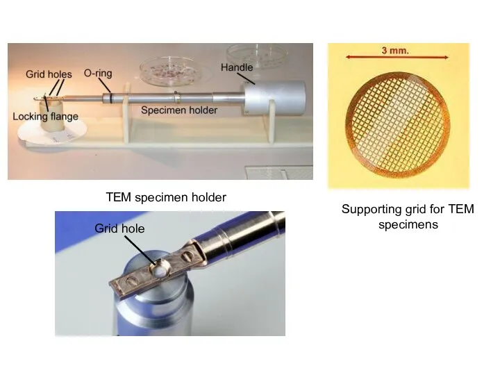 Supporting grid for TEM specimens TEM specimen holder