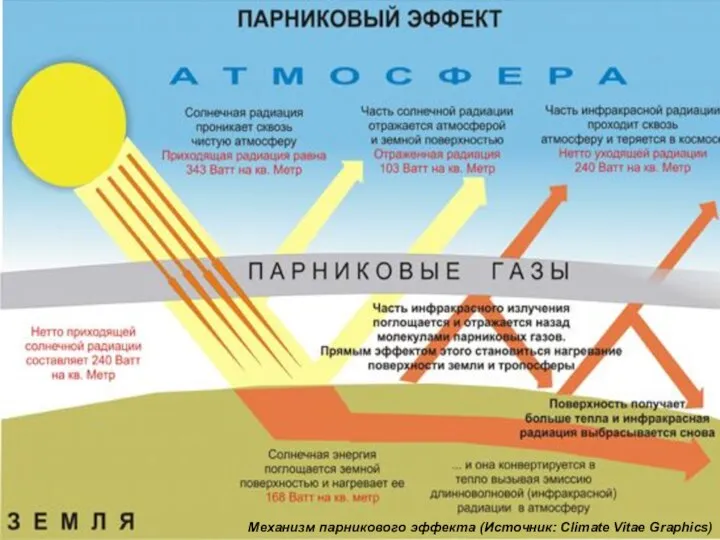 Механизм парникового эффекта (Источник: Climate Vitae Graphics)