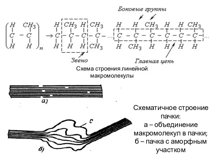 Схема строения линейной макромолекулы Схематичное строение пачки: а – объединение макромолекул