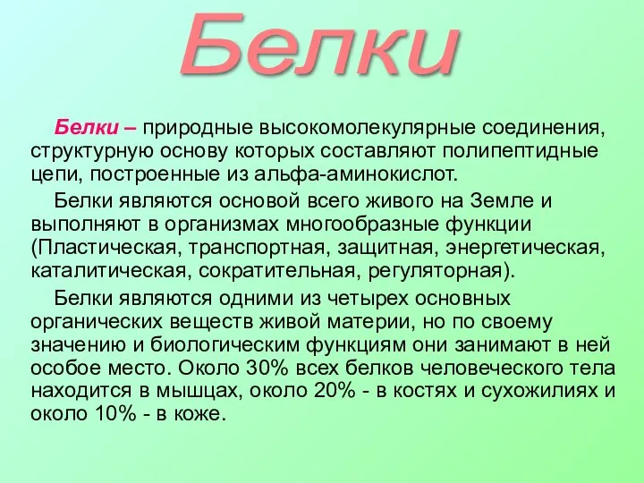 Белки Белки – природные высокомолекулярные соединения, структурную основу которых составляют полипептидные