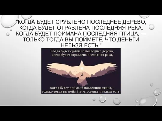 "КОГДА БУДЕТ СРУБЛЕНО ПОСЛЕДНЕЕ ДЕРЕВО, КОГДА БУДЕТ ОТРАВЛЕНА ПОСЛЕДНЯЯ РЕКА, КОГДА