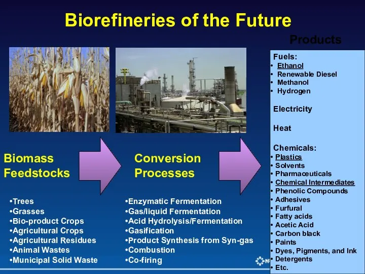 Fuels: Ethanol Renewable Diesel Methanol Hydrogen Electricity Heat Chemicals: Plastics Solvents