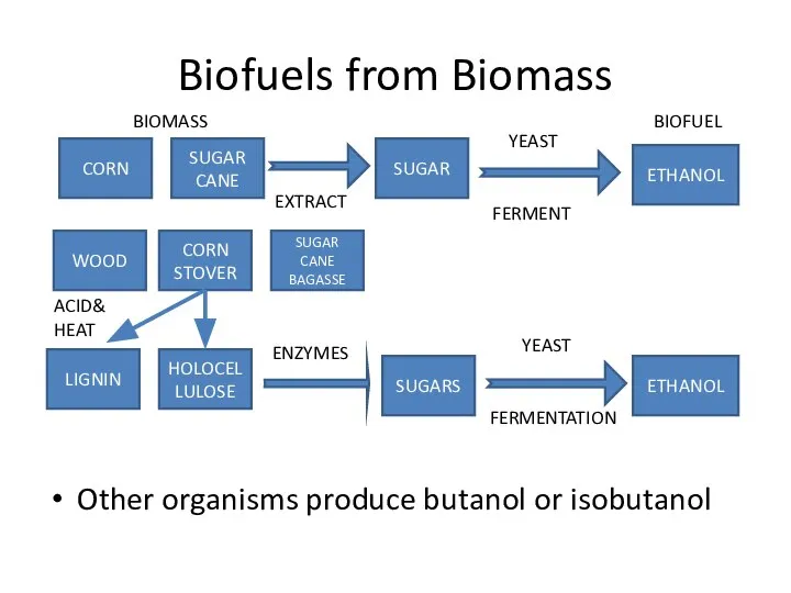 Biofuels from Biomass CORN SUGAR CANE SUGAR EXTRACT BIOMASS ETHANOL YEAST