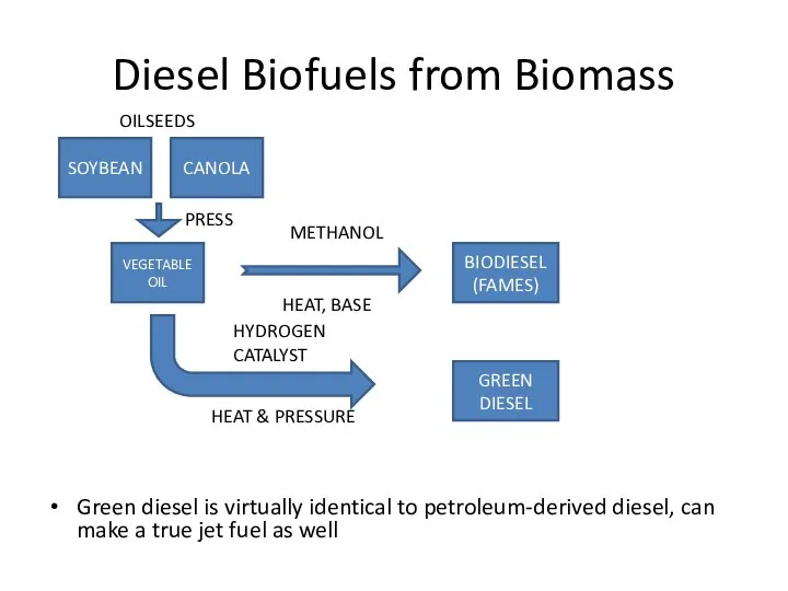 Diesel Biofuels from Biomass SOYBEAN CANOLA VEGETABLE OIL PRESS BIODIESEL (FAMES)