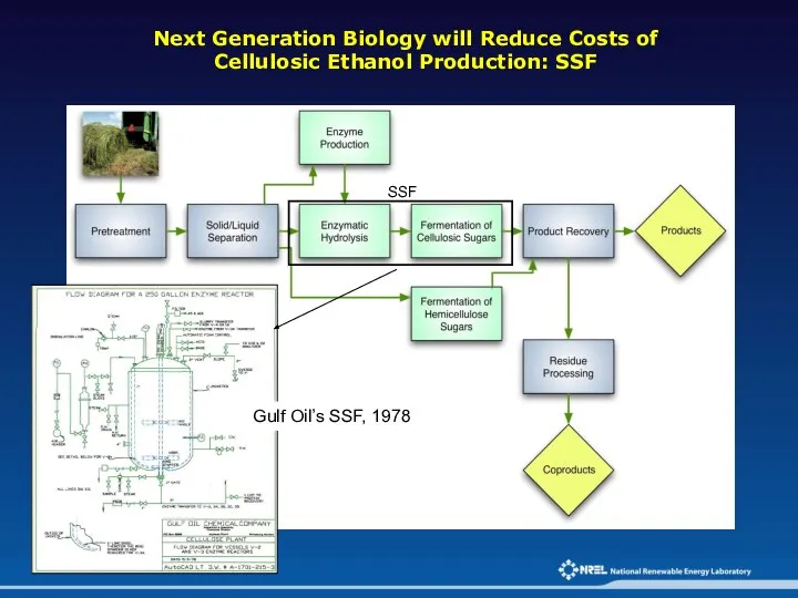 Next Generation Biology will Reduce Costs of Cellulosic Ethanol Production: SSF
