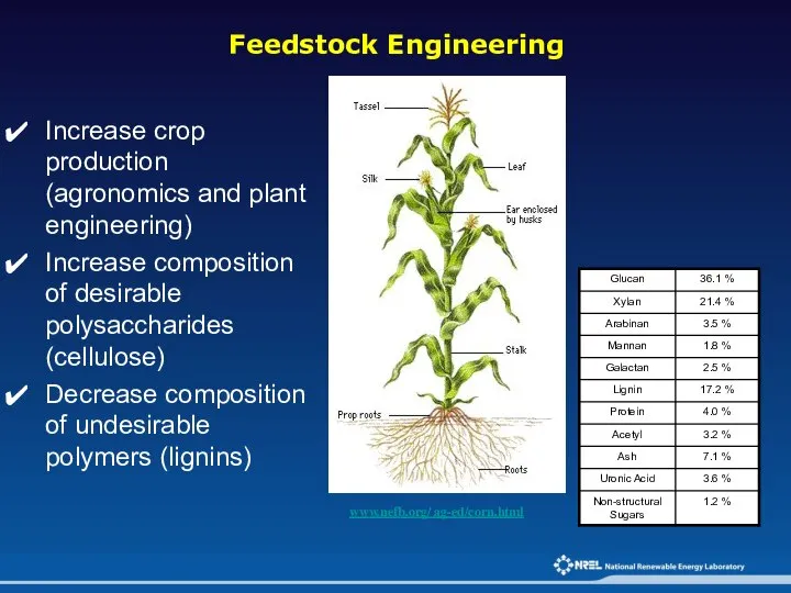 www.nefb.org/ ag-ed/corn.html Increase crop production (agronomics and plant engineering) Increase composition