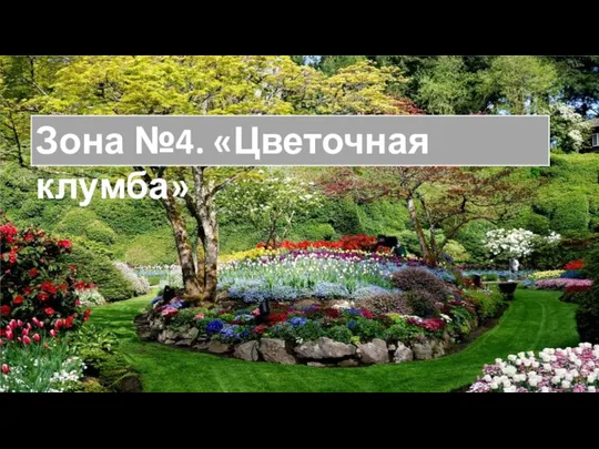 Зона №4. «Цветочная клумба»