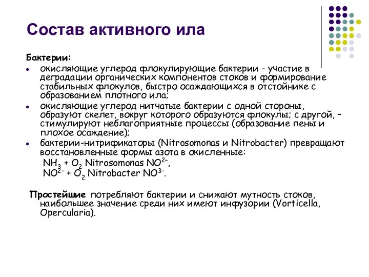 Состав активного ила Бактерии: окисляющие углерод флокулирующие бактерии - участие в