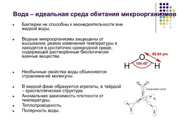 Вода – идеальная среда обитания микроорганизмов Бактерии не способны к жизнедеятельности