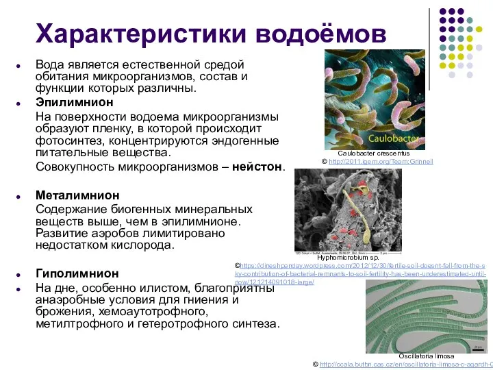 Характеристики водоёмов Вода является естественной средой обитания микроорганизмов, состав и функции