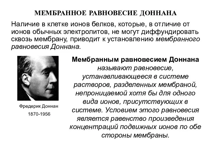 МЕМБРАННОЕ РАВНОВЕСИЕ ДОННАНА Наличие в клетке ионов белков, которые, в отличие