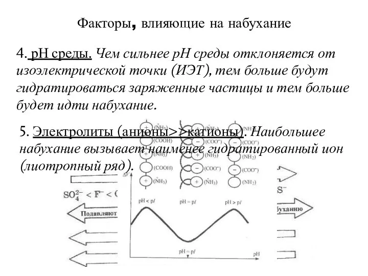 Факторы, влияющие на набухание 4. рН среды. Чем сильнее рН среды