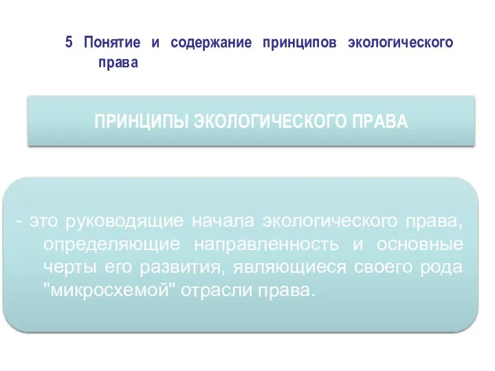 5 Понятие и содержание принципов экологического права ПРИНЦИПЫ ЭКОЛОГИЧЕСКОГО ПРАВА -