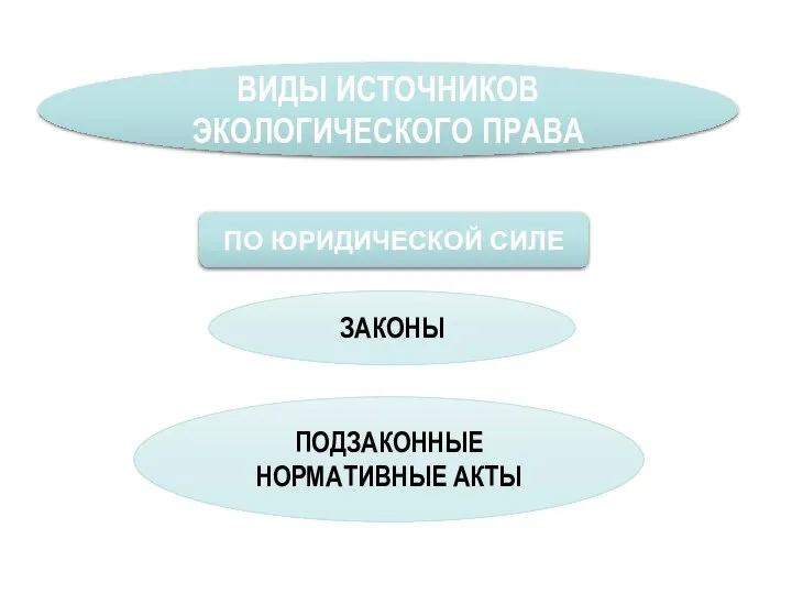 ВИДЫ ИСТОЧНИКОВ ЭКОЛОГИЧЕСКОГО ПРАВА ПО ЮРИДИЧЕСКОЙ СИЛЕ ЗАКОНЫ ПОДЗАКОННЫЕ НОРМАТИВНЫЕ АКТЫ