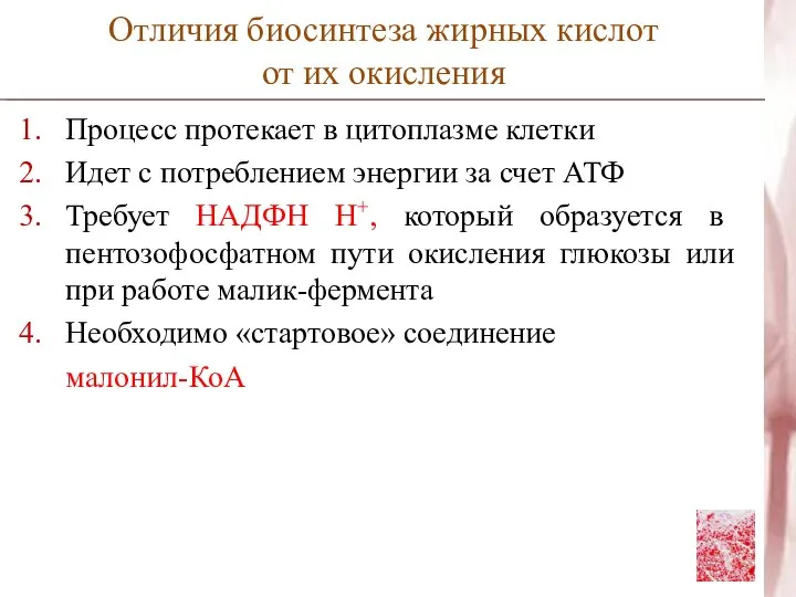 Отличия биосинтеза жирных кислот от их окисления Процесс протекает в цитоплазме