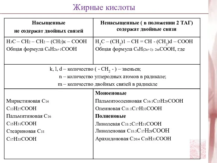 Жирные кислоты