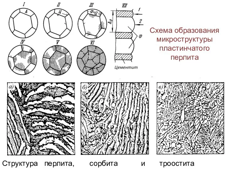 Схема образования микроструктуры пластинчатого перлита Структура перлита, сорбита и троостита