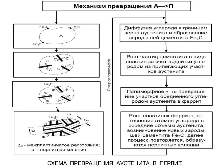 СХЕМА ПРЕВРАЩЕНИЯ АУСТЕНИТА В ПЕРЛИТ