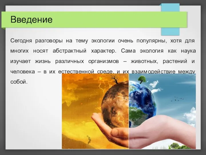 Введение Сегодня разговоры на тему экологии очень популярны, хотя для многих