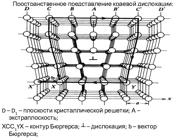 Пространственное представление краевой дислокации: D – D1 – плоскости кристаллической решетки;
