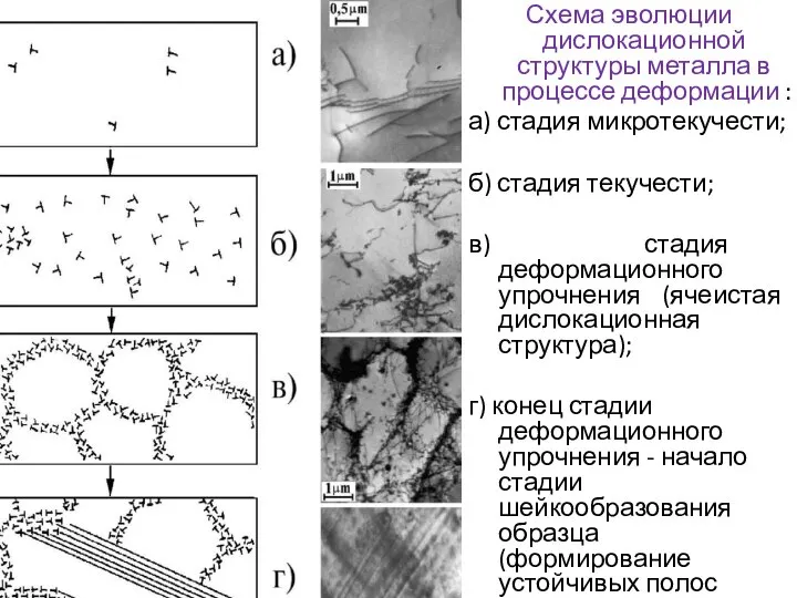 Схема эволюции дислокационной структуры металла в процессе деформации : а) стадия