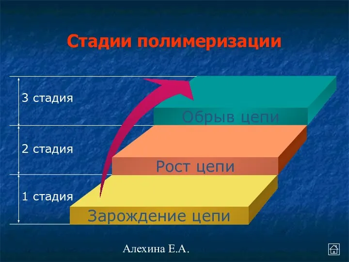 Алехина Е.А. Стадии полимеризации