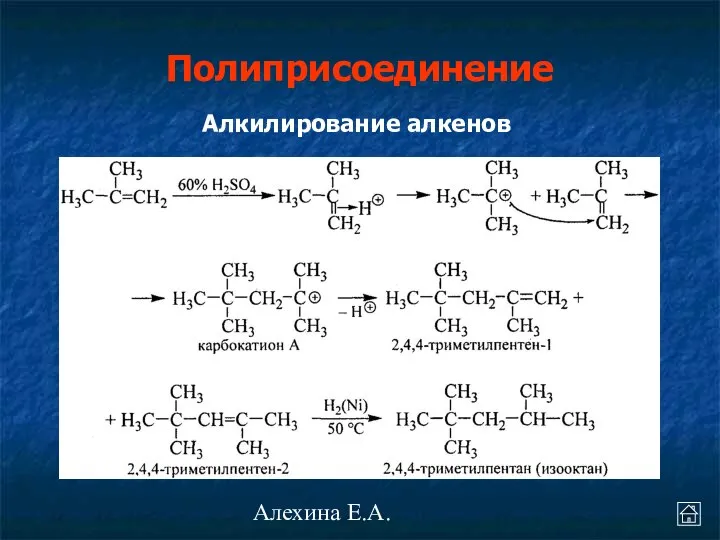 Алехина Е.А. Алкилирование алкенов Полиприсоединение