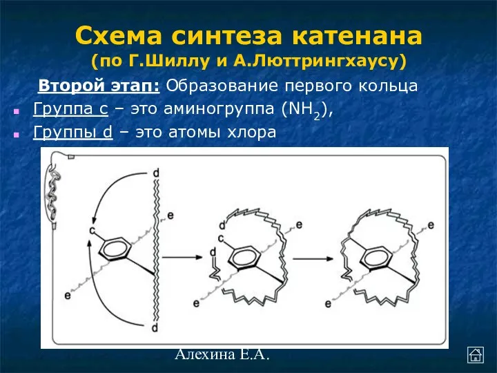 Алехина Е.А. Второй этап: Образование первого кольца Группа с – это