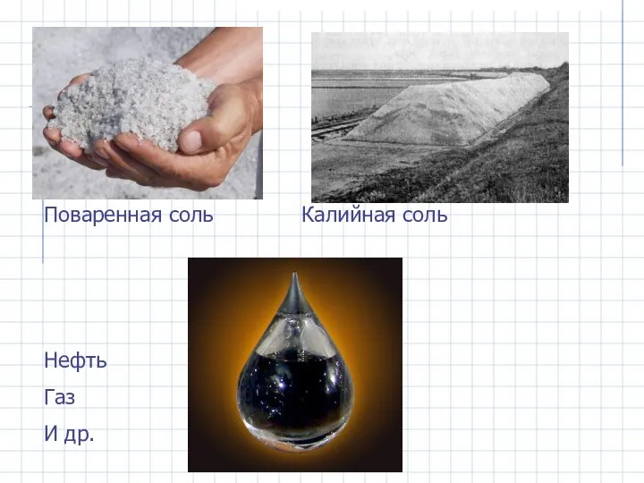 Поваренная соль Калийная соль Нефть Газ И др.