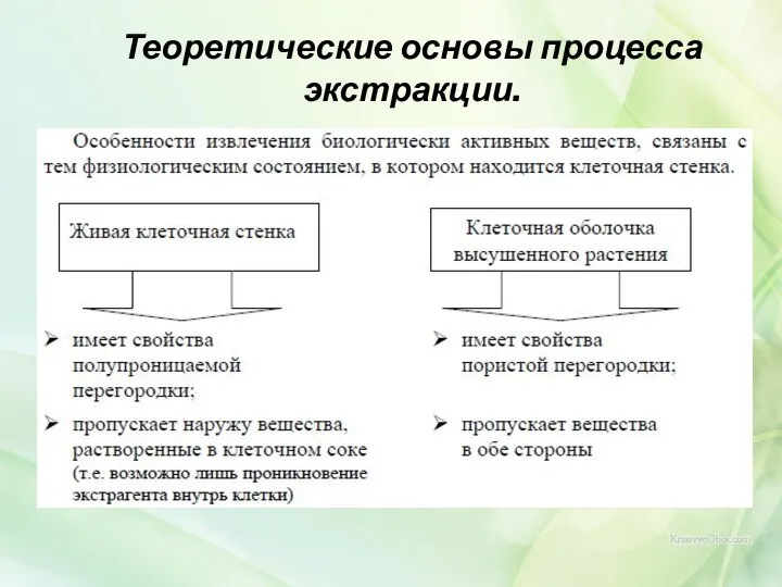 Теоретические основы процесса экстракции.